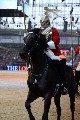 Cavalry - 00325